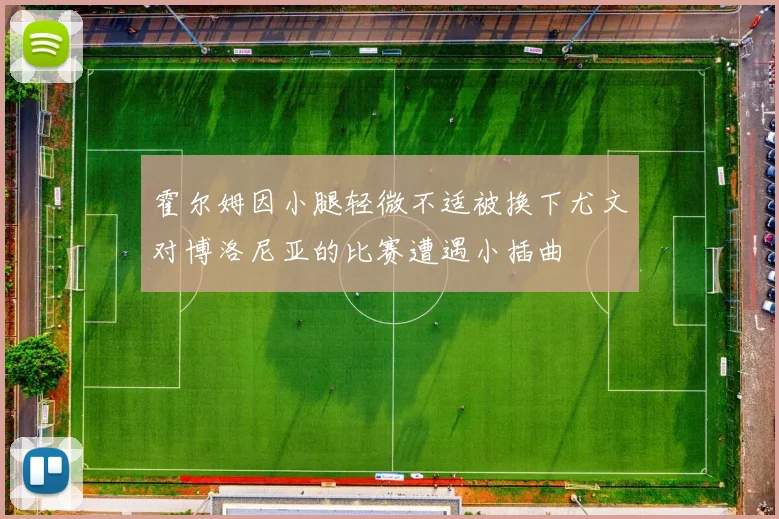 霍尔姆因小腿轻微不适被换下尤文对博洛尼亚的比赛遭遇小插曲